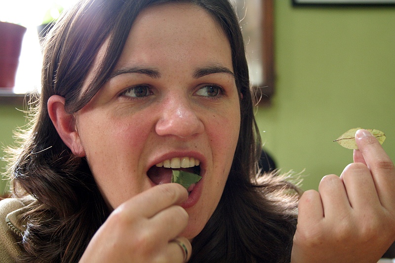 Rafal i Beatka_super-23.jpg - Ania wszystkiemu zaprzecza. "Wkładałam kokę do ust Wysoki Sądzie, to prawda. Ale nigdy, przenigdy, nie przeżuwałam"! (Zdjęcie: Beatka i Rafał)